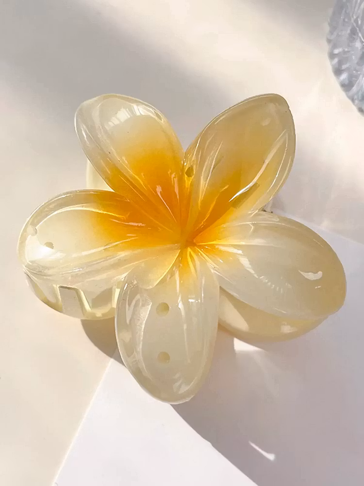 Hairclip